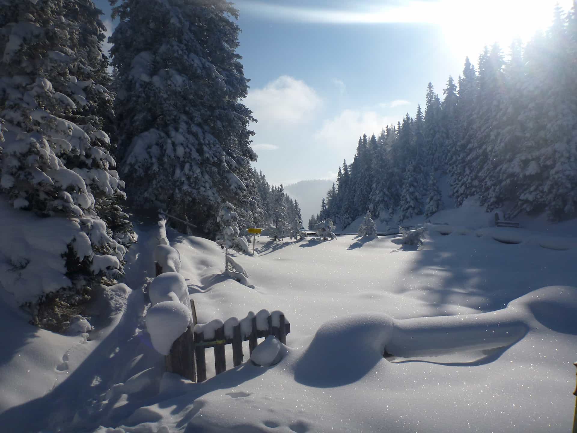 Schneeschuhverleih Schwarzwald